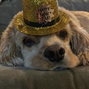 Meet your Posher, Debra